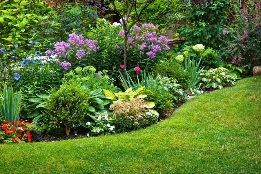 beautiful flowers in bloom at a botanical garden with lush green grass